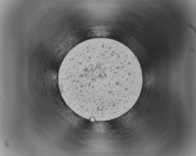 X0000103470321200810241020