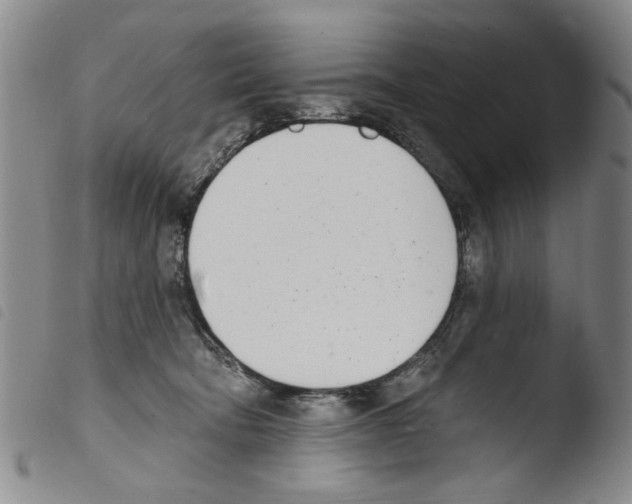 X0000103470322200810241020