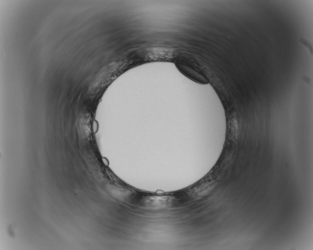 X0000103470323200810241020