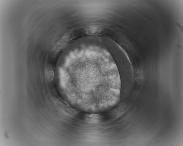X0000103470324200810241020