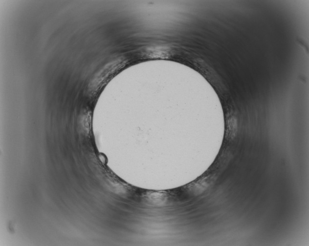 X0000103470325200810241020