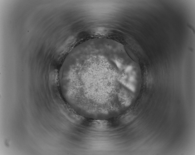 X0000103470328200810241020