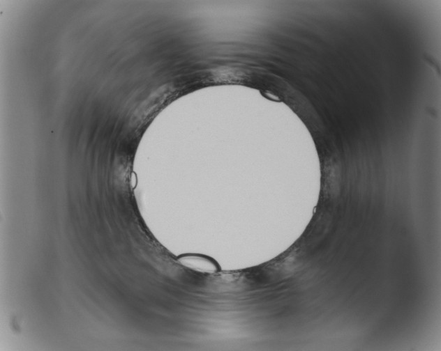 X0000103470329200810241020