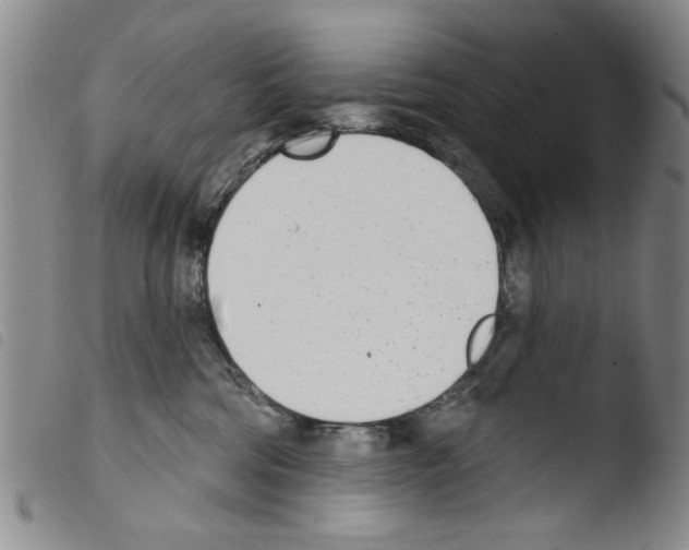 X0000103470330200810241020