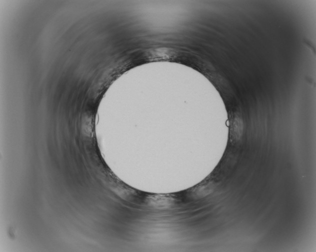 X0000103470331200810241020