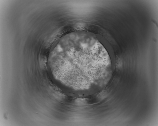 X0000103470332200810241020