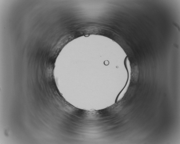 X0000103470333200810241020