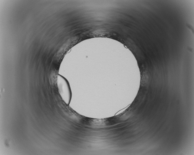 X0000103470335200810241020