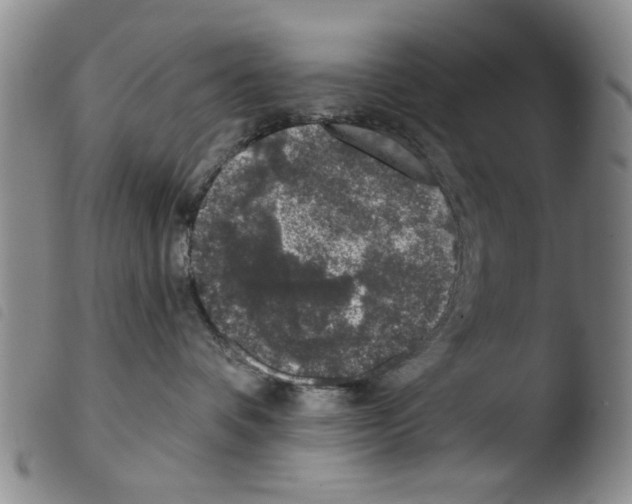 X0000103470336200810241020