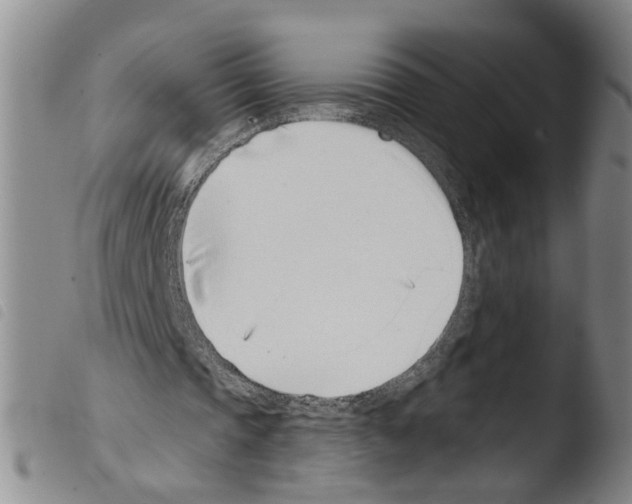 X0000103470337200810241019