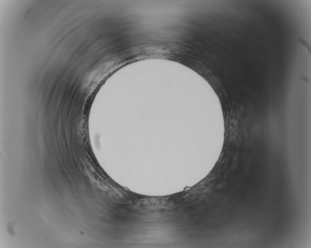 X0000103470338200810241019
