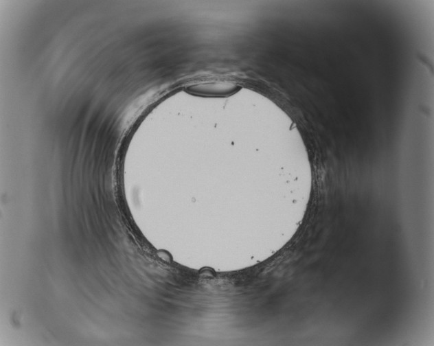 X0000103470340200810241019