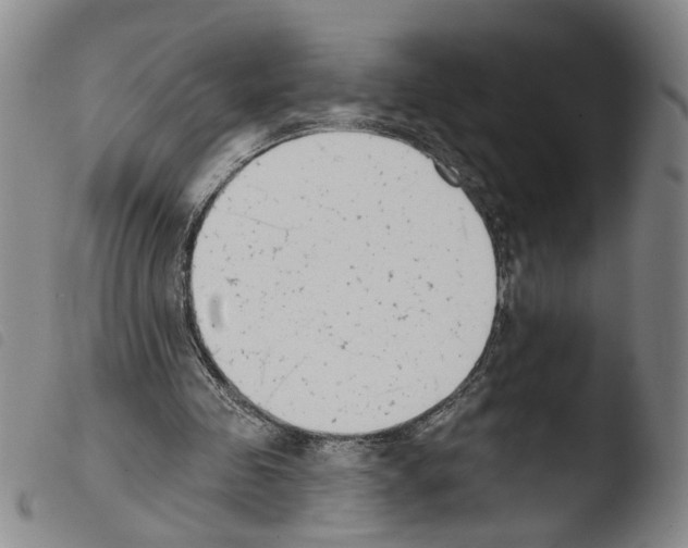 X0000103470341200810241019