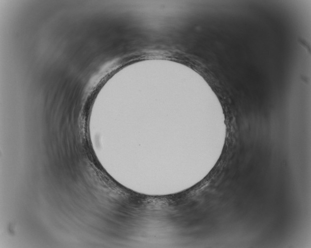 X0000103470343200810241019