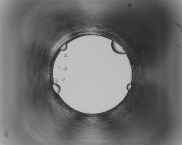 X0000103470344200810241019