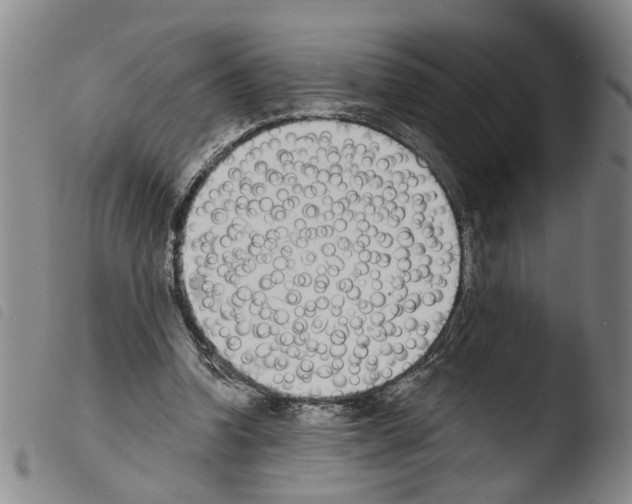 X0000103470346200810241019