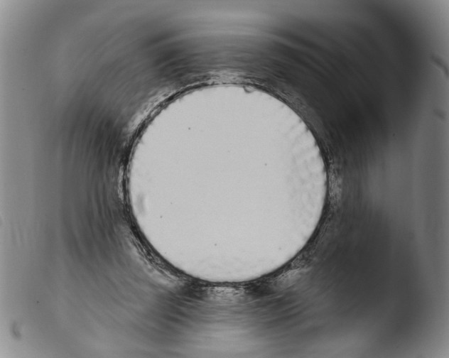 X0000103470347200810241019