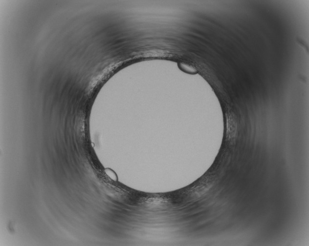 X0000103470348200810241019