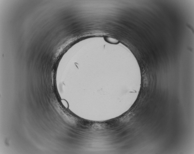 X0000103470350200810241019