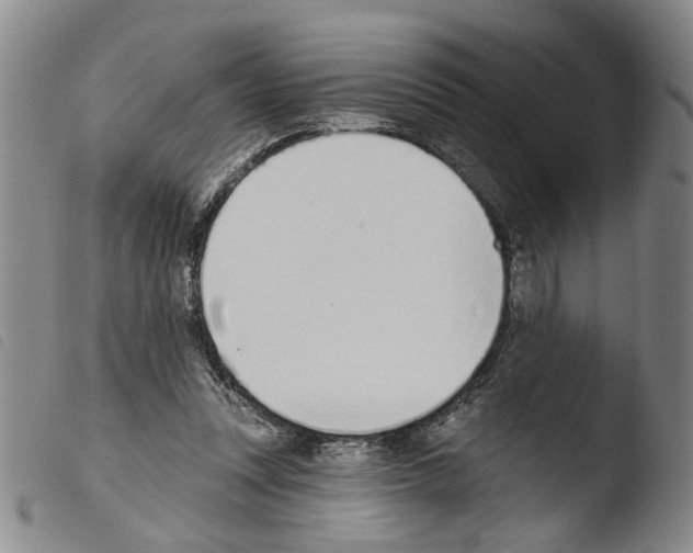 X0000103470351200810241019