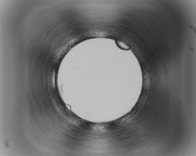 X0000103470358200810241019