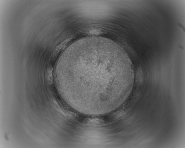 X0000103470360200810241019
