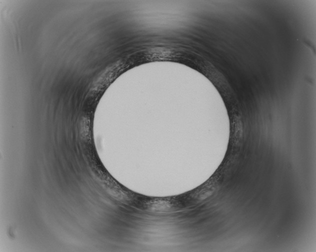 X0000103470361200810241019