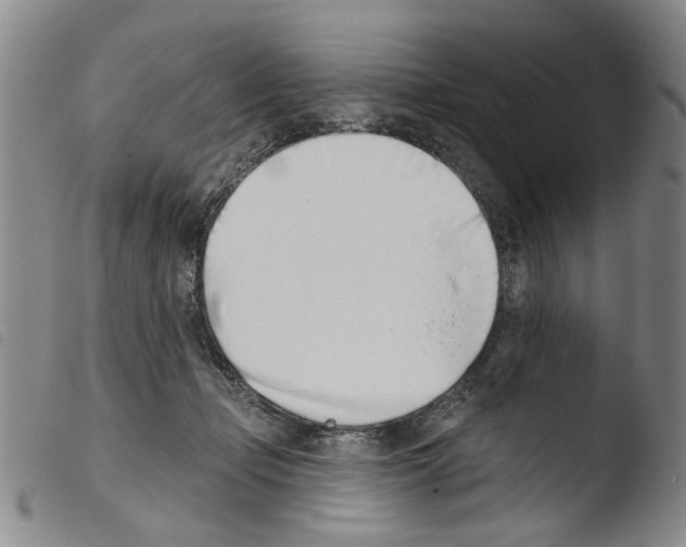 X0000103470365200810241019