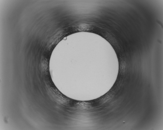 X0000103470367200810241020