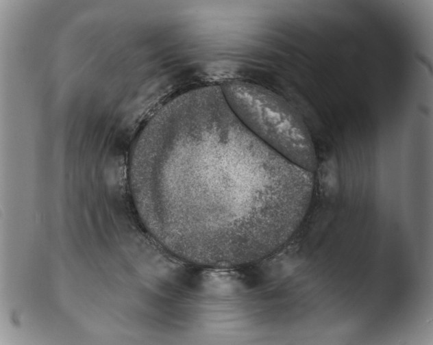 X0000103470372200810241020