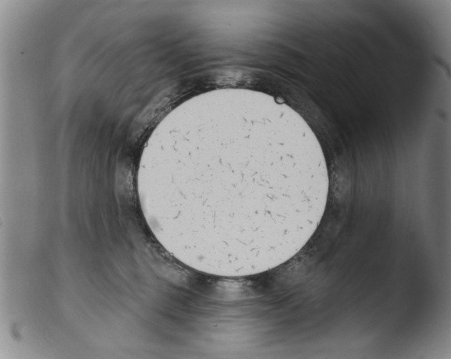 X0000103470375200810241020