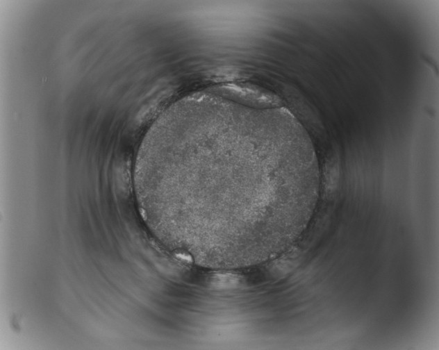 X0000103470376200810241020