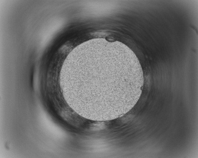 X0000103470381200810241020