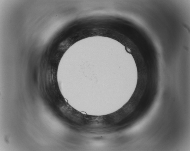 X0000103470382200810241020