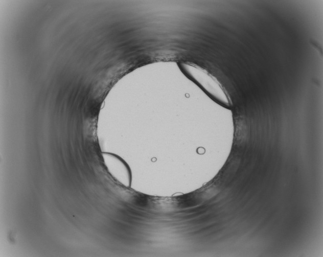 X0000103470383200810241020