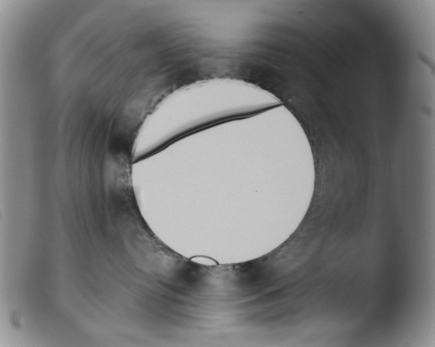 X0000103470384200810241020