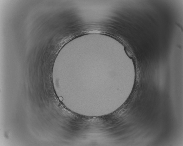 X0000103470385200810241019