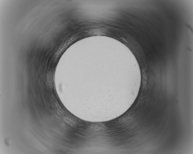 X0000103470386200810241019