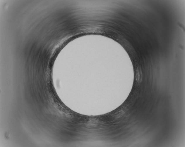 X0000103470388200810241019