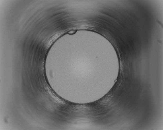 X0000103470389200810241019