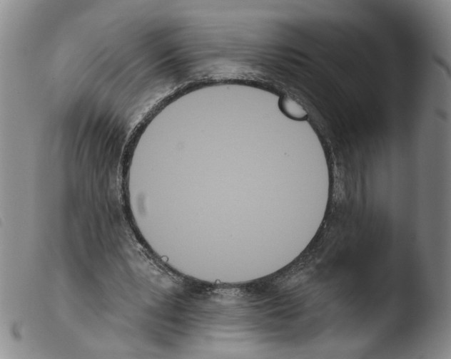 X0000103470391200810241019