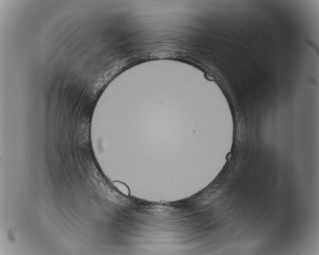 X0000103470393200810241019