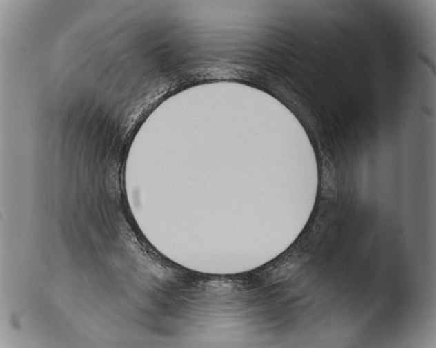 X0000103470394200810241019