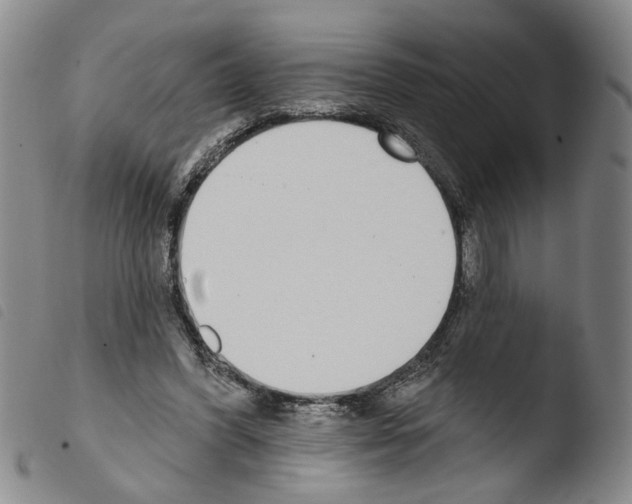 X0000103470396200810241019