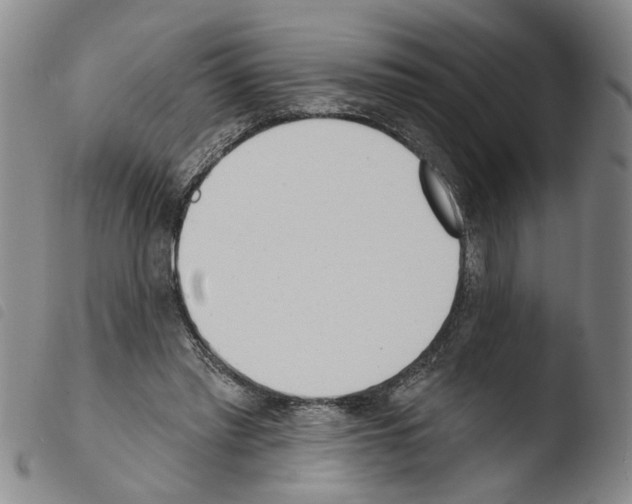 X0000103470397200810241019