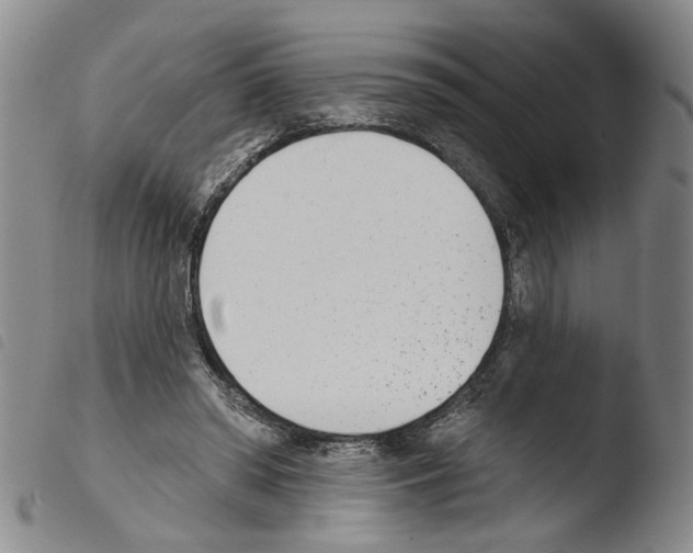 X0000103470398200810241019