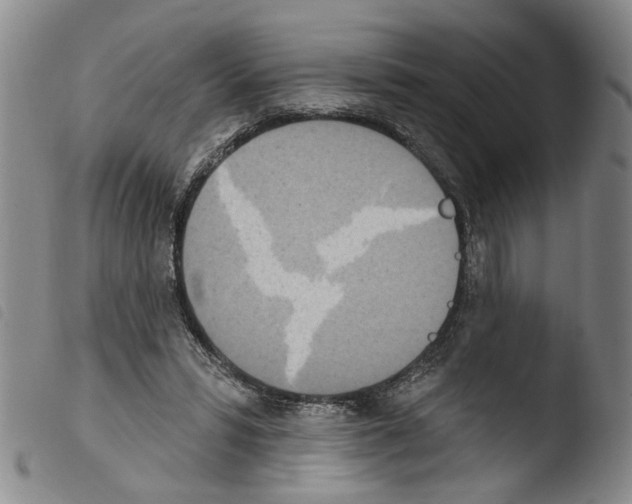 X0000103470399200810241019