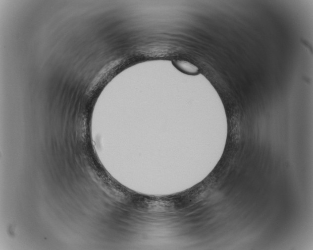 X0000103470400200810241019