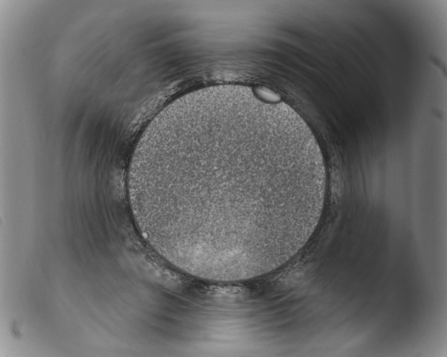 X0000103470401200810241019