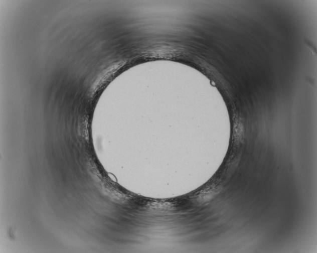 X0000103470403200810241019